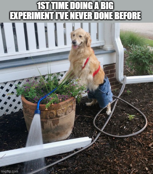 I got this under controle 

#academia #phdlife #phdchat #science #xp #AcademicChatter #phdvoice