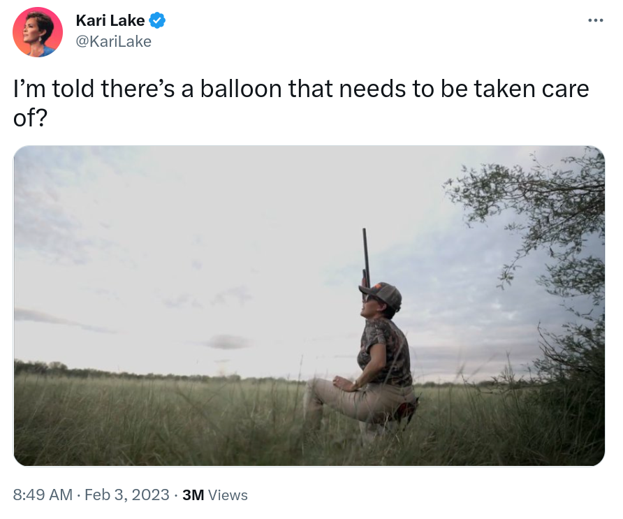 GregTSargent's tweet image. Wow. @KariLake and @JDVance1 are letting our country down. They're pointing their guns in a direction other than the southern border!