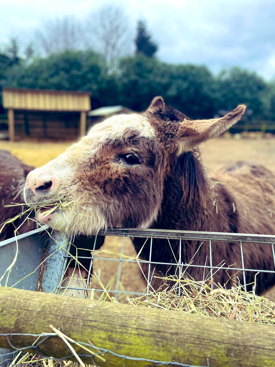 Brunch date today at <a href="/MuddyBootsFife_/">Muddy Boots Fife</a> #brunch #farm #weekendvibes #saturday