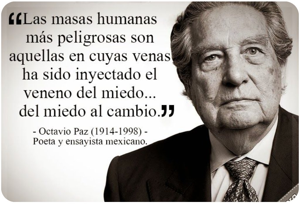 SEMILLA tweet media