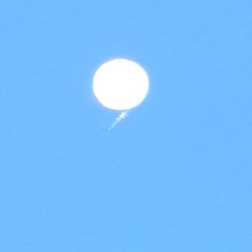 Since everyone else seems to be sharing this morning, here are my pics. Darn bird didn't intercept that balloon. #chinesespyballoon