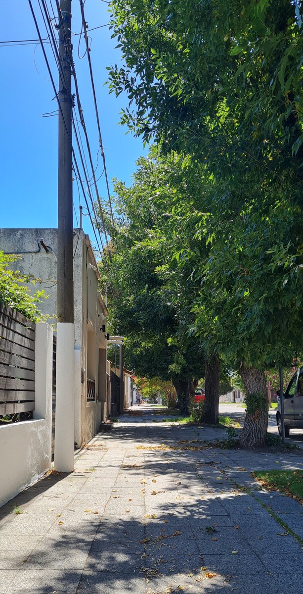 Vereda ancha, cuatro metros más cordón, franja de pasto, árbol de copa ancha sin tocar frentes, sombra en vereda, sombra en calle reduciendo isla de calor, aire fresco en la brisa, brisa con ruido. Algo mínimo.

Buen urbanismo. Buena ciudad.