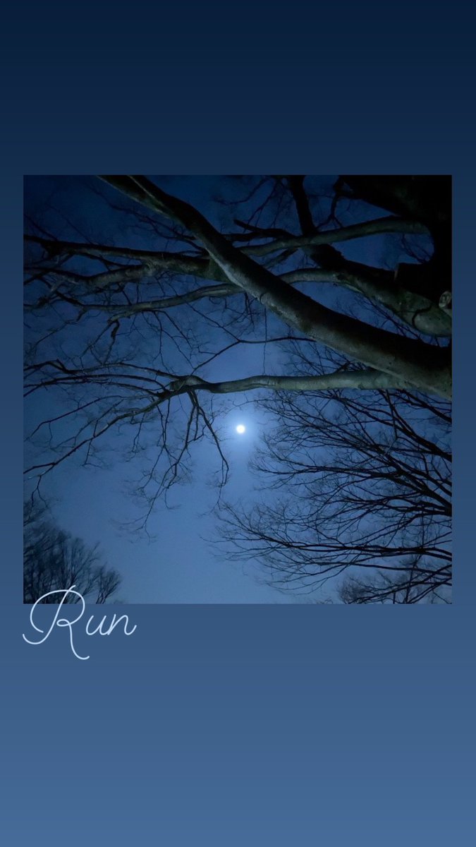 iPhonegraphy
今宵は月が綺麗Run

走りながら頭の中を整理。