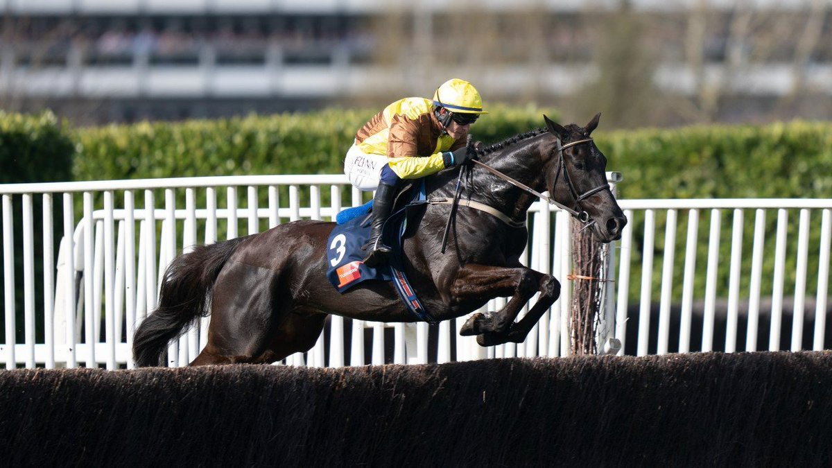 👍 It took Paul Townend an absolute age to pull GALOPIN DES CHAMPS up there.

Absolutely no doubt in my mind that he'll stay the Cheltenham Gold Cup trip.