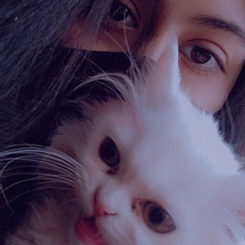 malwain (@malwain16) on Twitter photo 