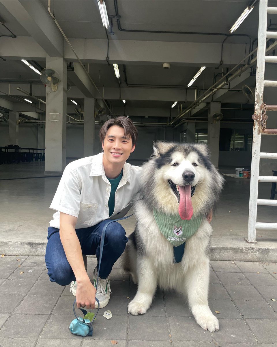 MeanPlanPH's tweet photo. [UPDATE] ⬆️

230204 ~ BIG FLOOF BALL 🐶

Mean looks so happy playing with this big floof ball. Sunch a gentle giant. We know for sure that you had fun playing with him, Mean. 💙

© Mean's IG post @.m34nismind
 
#MeanTro
#MeanPhiravich
#MeanPlanPH
~ 🌠 https://t.co/NgDZuMMgdX
