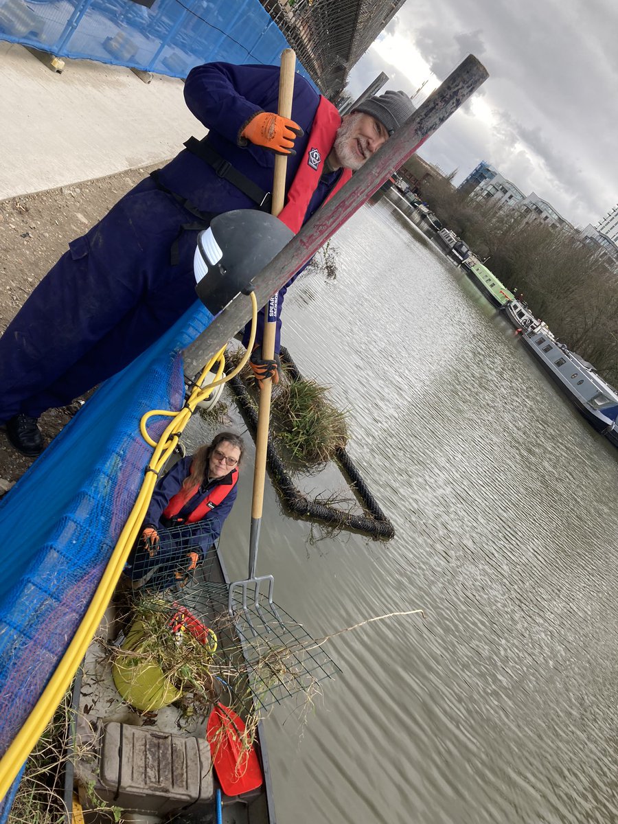 StonebridgeLock's tweet photo. Peaceful day on the #LeeNavigation #slowgardening maintenance of our #HaleWharf  #Lock17 #FloatingReedbed habitat removing #INNS &amp; Bramble to maintain plant biodiversity. Also started removing the protective fencing to allow waterbirds access 🤞🏻for nesting season #WeWantWildlife https://t.co/DBkhJlz6Je