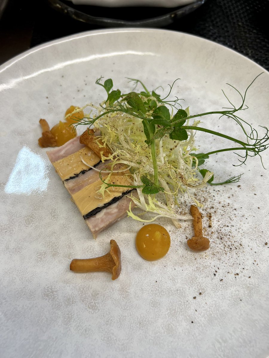 ChefWillH's tweet image. Chicken confit and foie gras terrine
Pickled girolles 
Dried apricot purée
(Toasted brioche on the side)
#lunchmenu