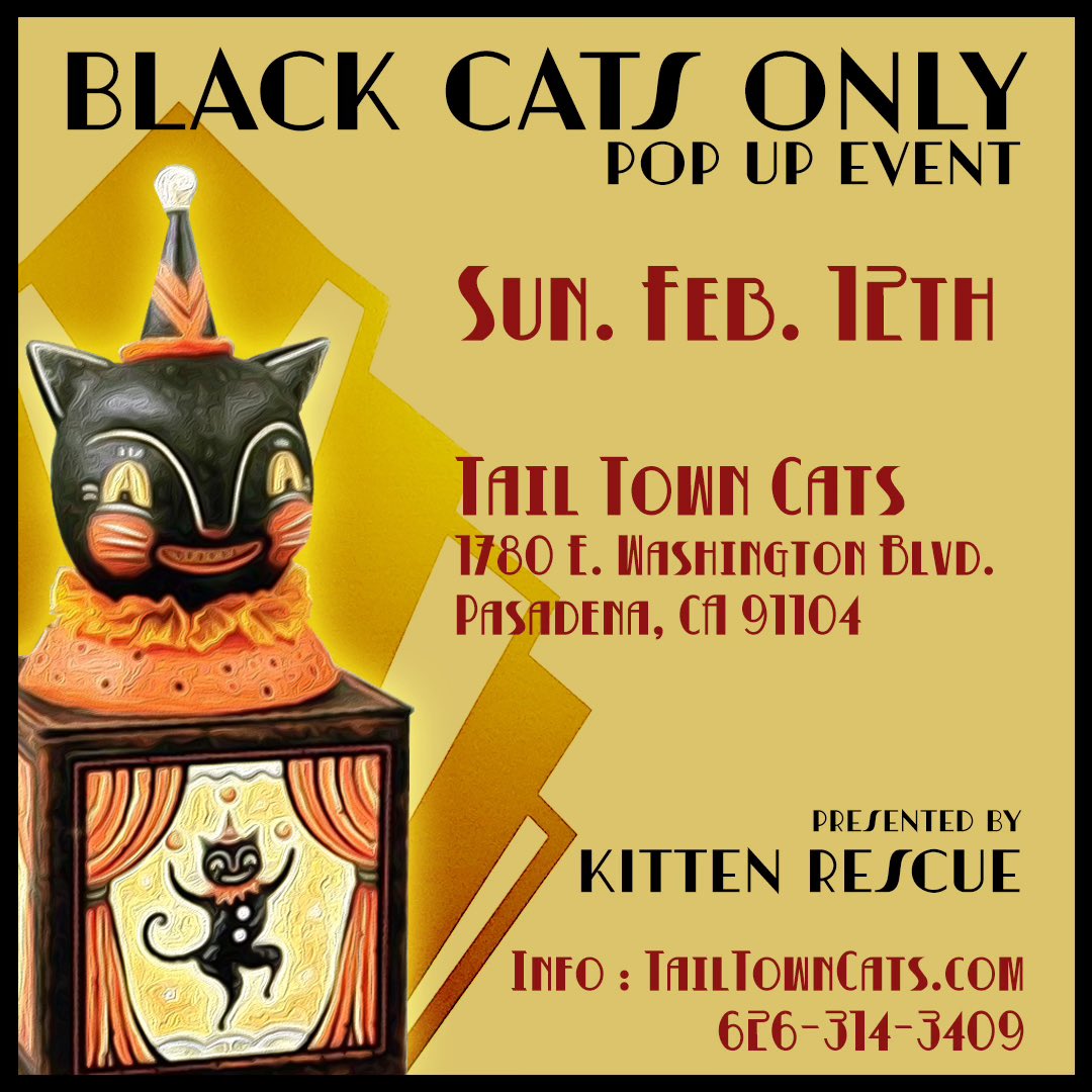 Happy #Caturday!
If you are in the LA area next weekend and wanna hang out check out my special pop up event at Tail Town in Pasadena!