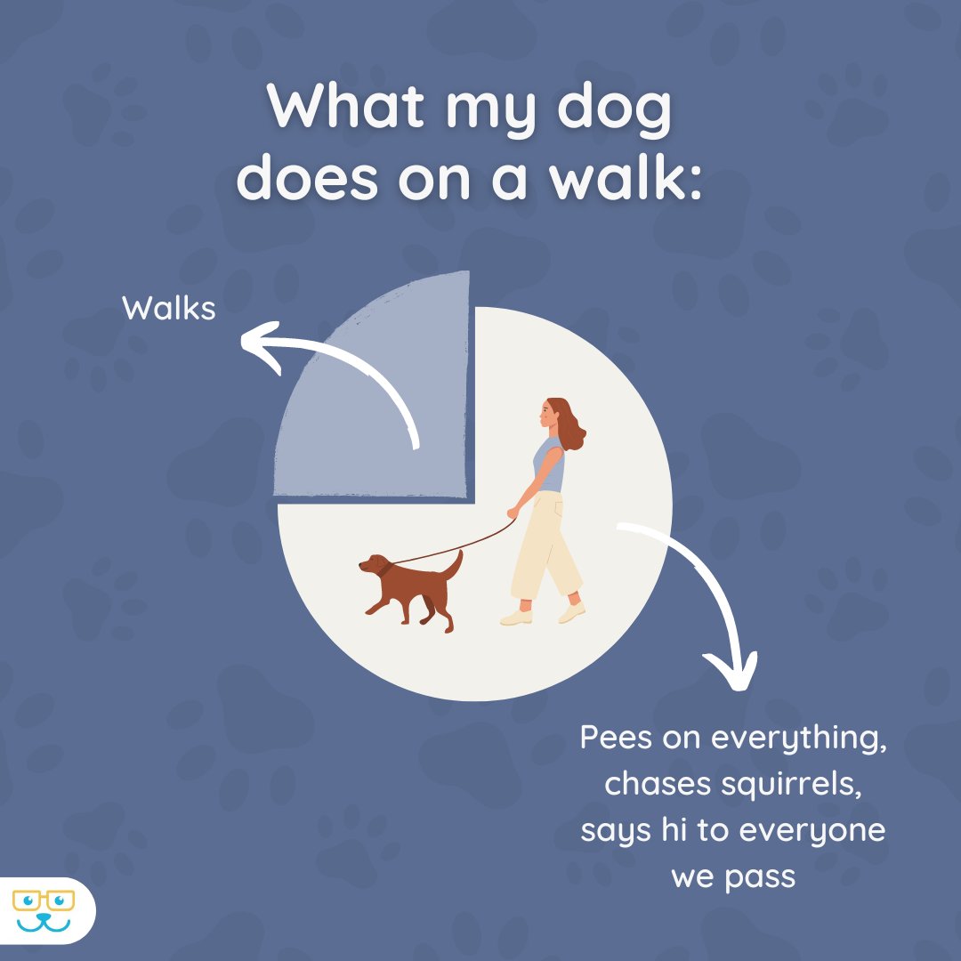 sugar_animal's tweet image. What does your dog do on a walk (besides, you know, actually walking)?
 #whosewalkingwho#sugarriverahgratham #grathampets #sugarriverah #sugarriveranimalhospital