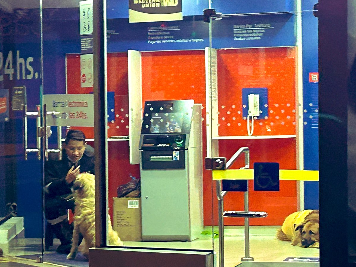 Ayer a media noche, este gentil guardia del BCP en San Miguel abrió la puerta a este perrito comunitario y se unió a los otros 2 que ya estaban adentro, protegiéndose de la fría noche paceña. Bien por el banco y su personal 👏🏼👏🏼
“Que la vida te trate como tratas a los animales”