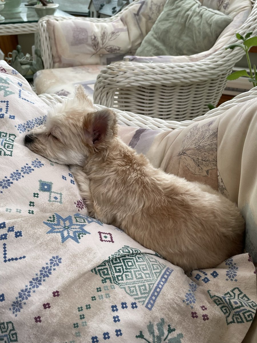 on Twitter "i miss my baby SO MUCH"