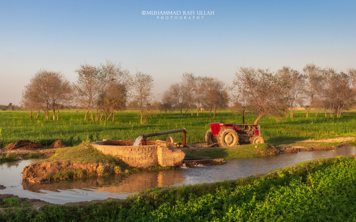 Muhammad Rafi Ullah Photography tweet media