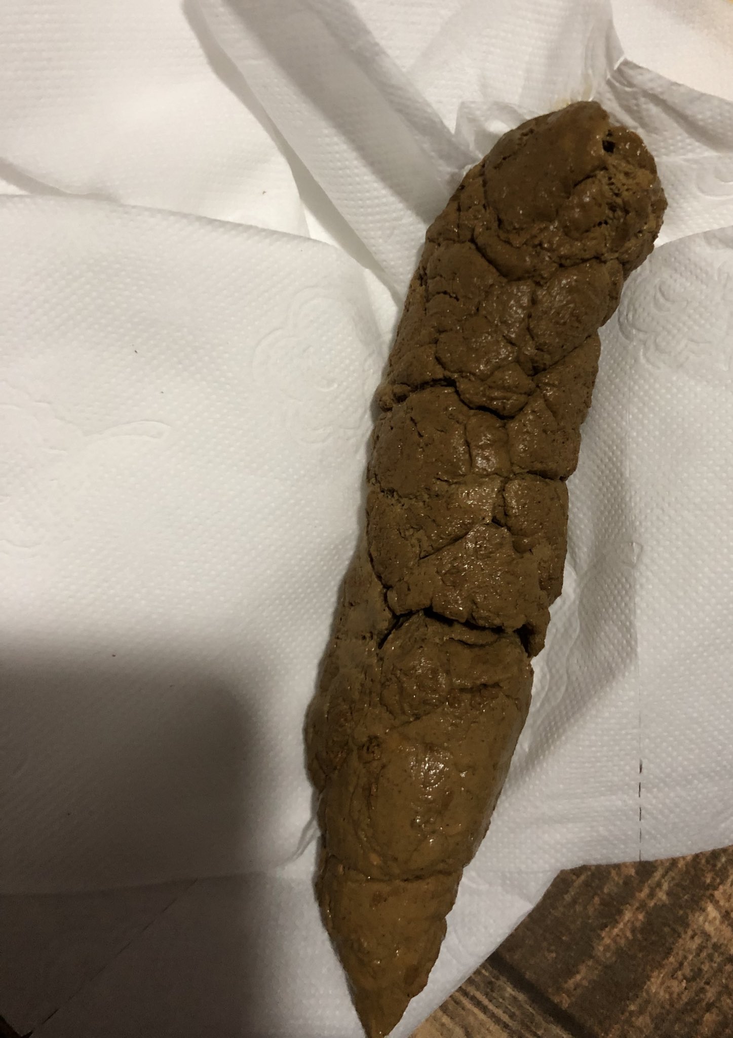 Xavier Scat on Twitter "Shit scatgay https //t.co/iWkar63z5u" / Twitter