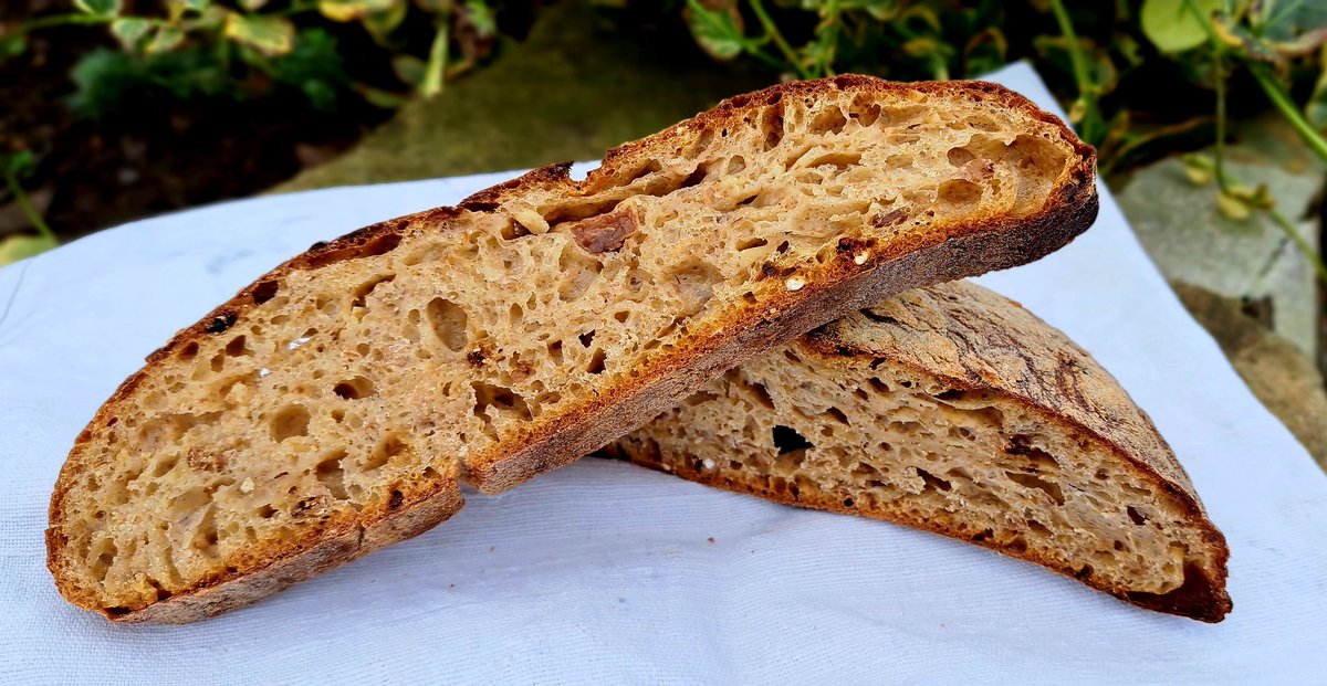 Ivycottagebaker's tweet photo. New try out Museli sourdough... rather good.
#bread #bakery #realbread #microbakery #edenvalley #Cumbria #Museli #flavourcombinations #naturalfermentation https://t.co/TTd5THi3rV