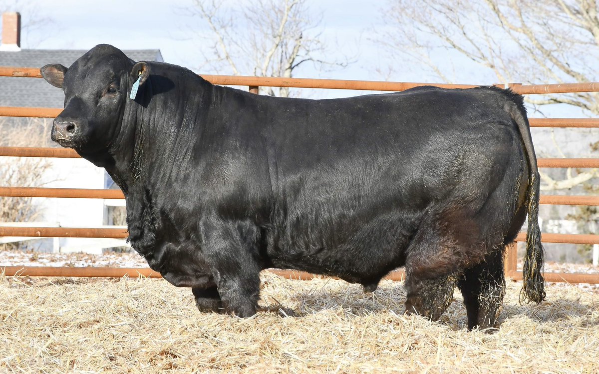 Robert Cooper tweet media