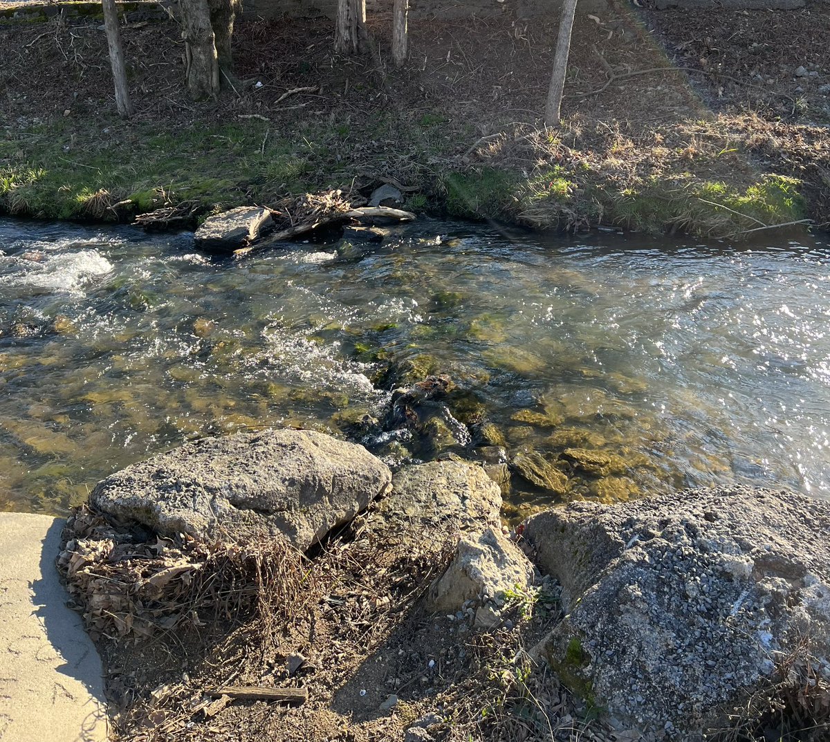 ValDavidson's tweet image. My walk was a little chilly this morning…but that is the way I like it!! I have been able to do some work with a PT again over the last few weeks and started walking again for 30 minutes each morning. It has been great to be able to walk and then still make it through my day!!