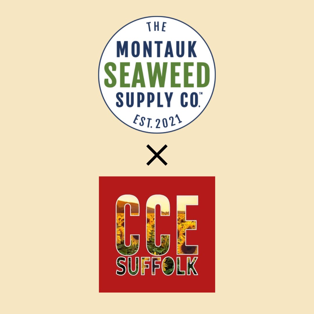 CCE Suffolk tweet media