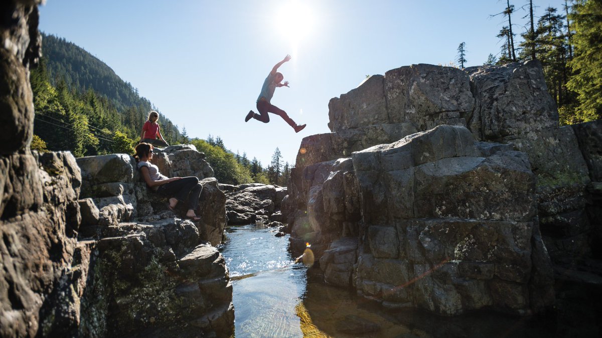 westcoastnest's tweet photo. 🌲 🌊 Take the jump! Make the time to learn a new skill and come learn with us in the #ultimateclassroom. 

For more information, check out the 🔗 in our bio or get in touch with us!

#educationtourism #outdoorlearning #exploreCanada https://t.co/9u0gS7gI8g
