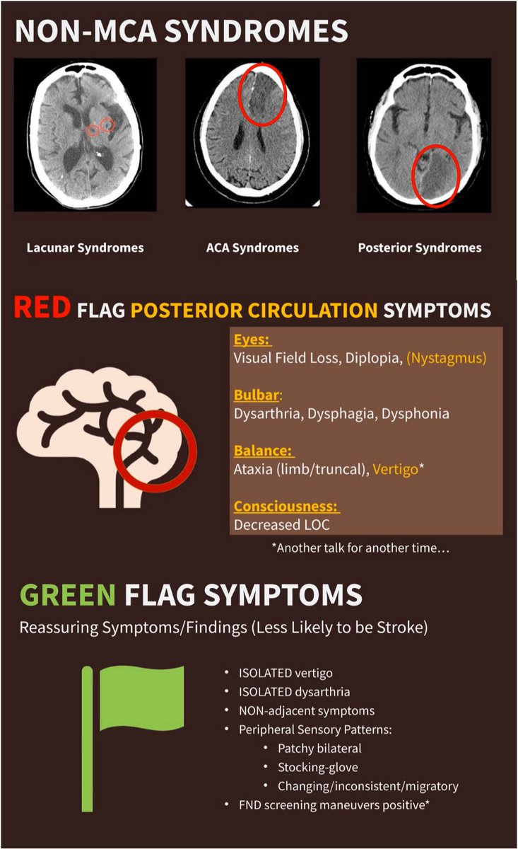 MRamzyDO's tweet photo. @UCalgaryEM's @lilninjadoc on Stroke at #EMCSum23
🩺Have an approach to examining confused/comatose pts
👁️Thoroughly evaluate eyes in unresponsive pts
🧠Focus on 3 areas below for non-MCA strokes & their syndromes
#FOAMed @EMCases @drdangayach @DennysReyesMD @TheSGEM @First10EM https://t.co/EJLaVkhEev