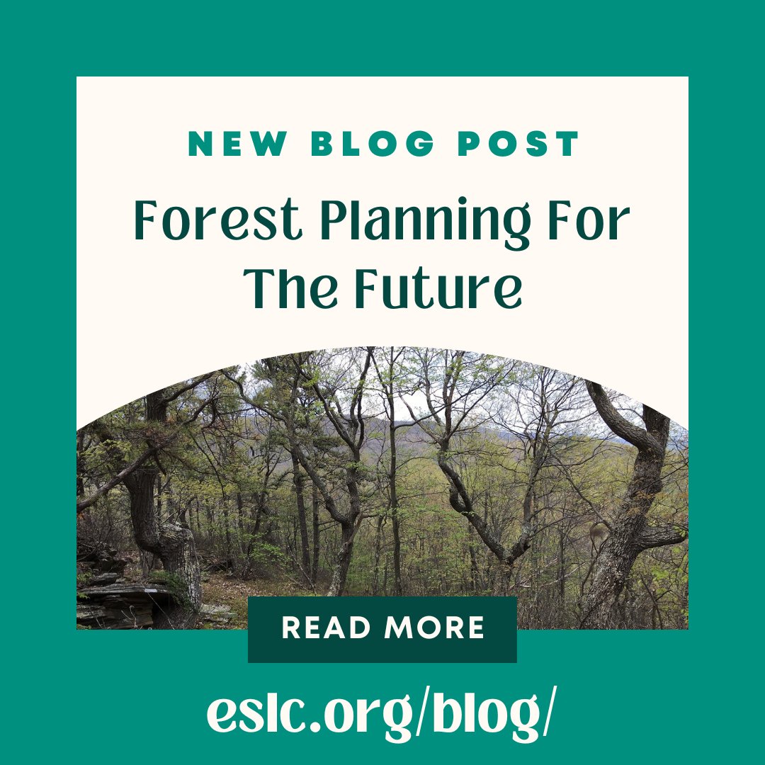 What does it truly mean to save trees? Learn more about supporting forestlands by reading our most recent blog post at eslc.org/forest-plannin…

#MarylandForest #OldGrowthForest #Forestlands #ForestStewardshipPlan #Ecosystem #ConservationEasement #MarylandForestland #Conservation