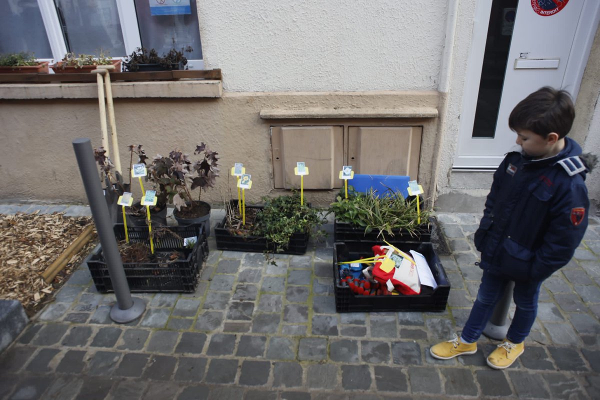 standendievel1's tweet photo. A #Lille on végétalise les rues ! 
Illustration ce matin dans le quartier de #Wazemmes avec les #habitants et @ch_brun, adjointe déléguée au quartier.
#ParticipationCitoyenne #Villeàhauteurdenfants 
#Nature
@lillefrance @MartineAubry https://t.co/5GJXNgyyJy