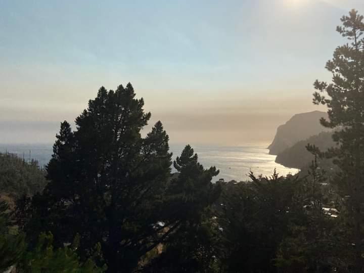 RedGeoChile's tweet photo. El humo de los incendios forestales ha recorrido casi 1.000 kilómetros sobre el océano Pacífico, llegando a cubrir de humo al Archipiélago de Juan Fernández.

📷 Cristian Paredes desde la isla Robinson Crusoe https://t.co/ni7beZBRZ8