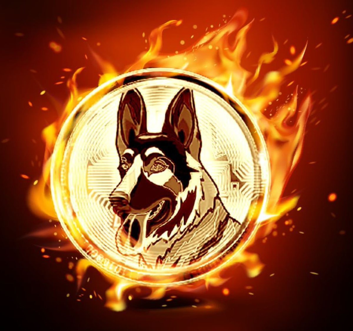 BergerDoge Coin tweet media