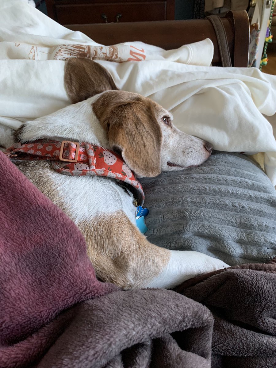 Happy Saturday ☀️🌸💖