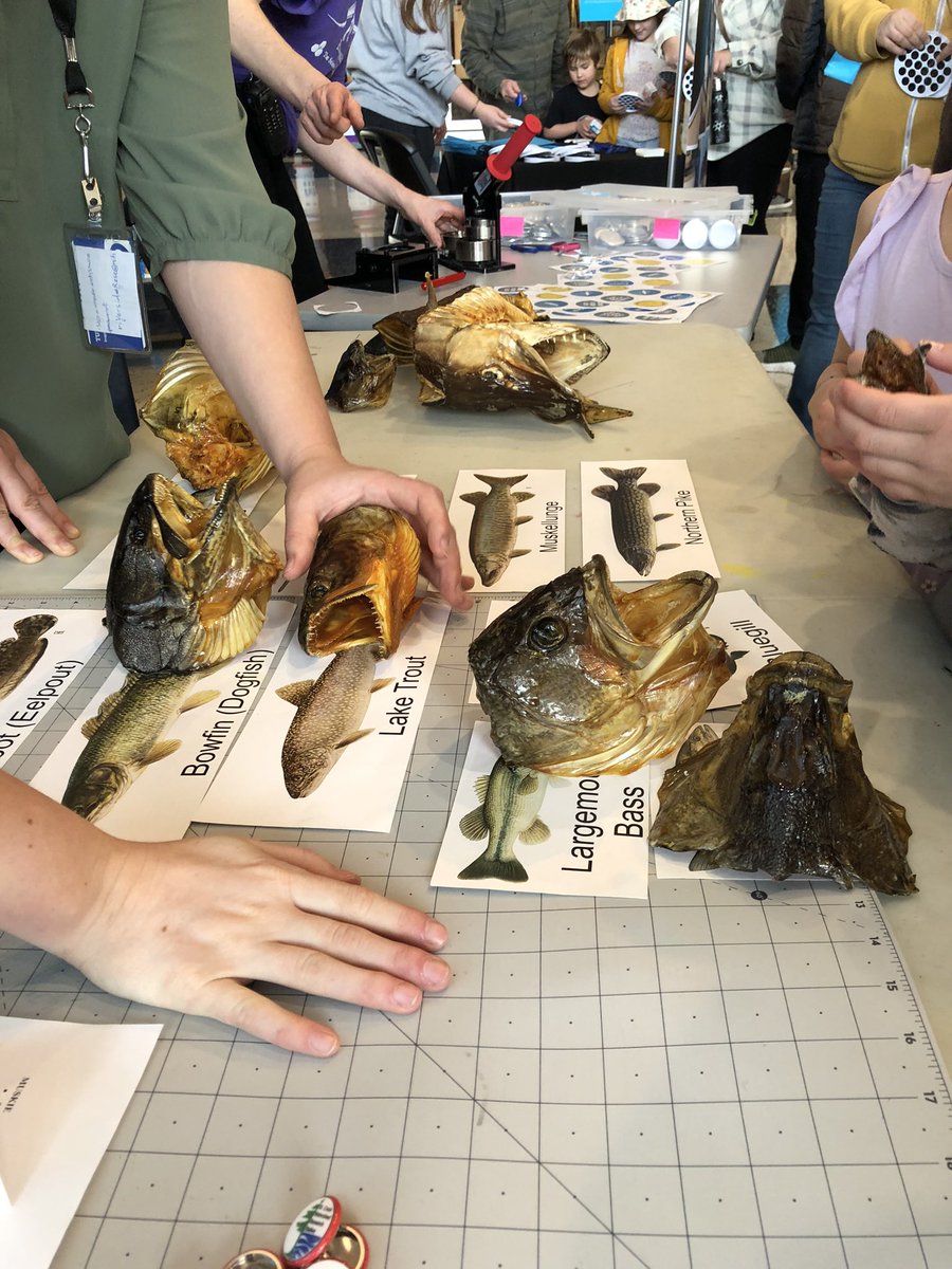 I’m thankful for great colleagues  <a href="/sciencemuseummn/">Science Museum of Minnesota</a> in the Center for Research and Collections. They are at the museum on a Saturday morning sharing their work.  <a href="/scwrs_mn/">SCW Research Station</a>