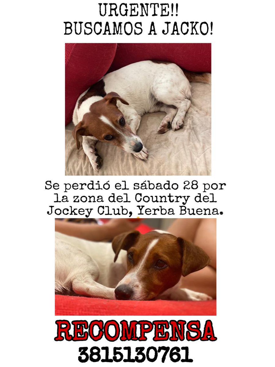 ғʀᴀɴ 🌙 tweet media