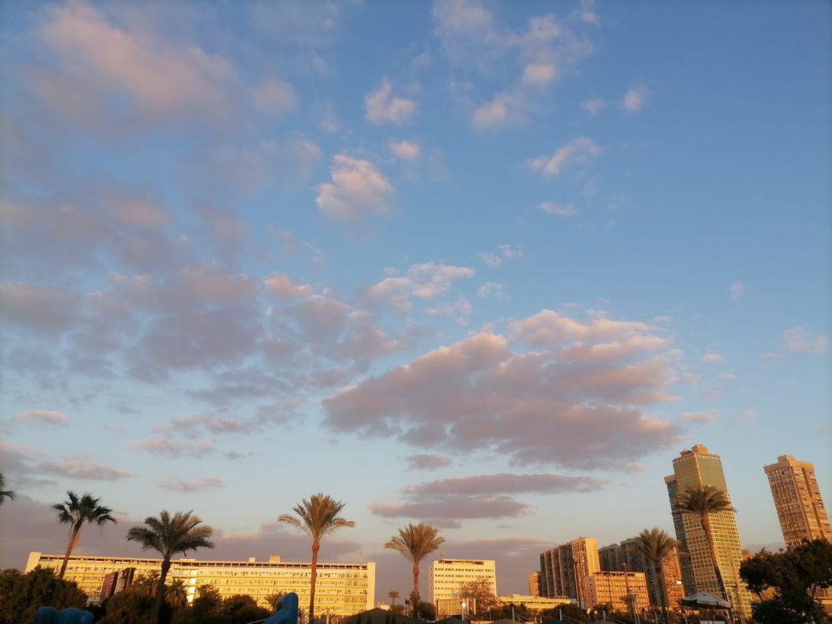 🐥Randa 🐥 tweet media