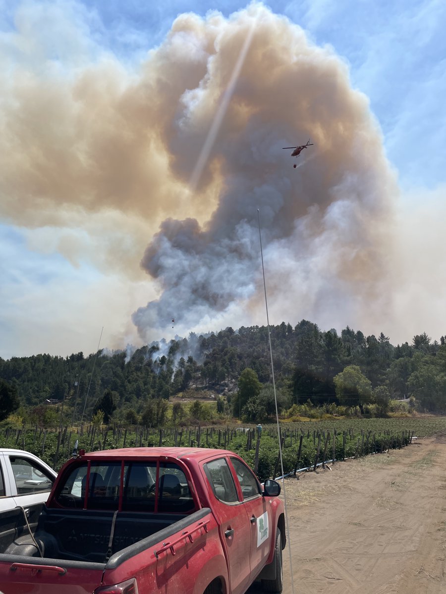 Juan Caamaño (@jcaamano_) on Twitter photo Las previsiones eran muy malas y ayer en el terreno lo corroboramos. En el #EGIF estábamos muy pendientes de la actualización de los datos VIIRS/MODIS de esta noche, única manera xa saber el alcance del escenario de simultaneidad. Sorprenden los resultados d crecimiento de los IF Las previsiones eran muy malas y ayer en el terreno lo corroboramos. En el #EGIF estábamos muy pendientes de la actualización de los datos VIIRS/MODIS de esta noche, única manera xa saber el alcance del escenario de simultaneidad. Sorprenden los resultados d crecimiento de los IF