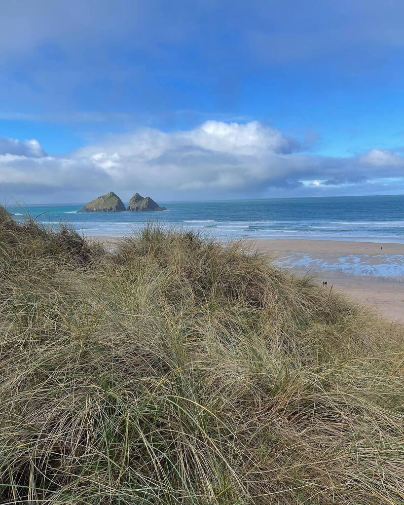 Art Workshops & Stays in Cornwall tweet media