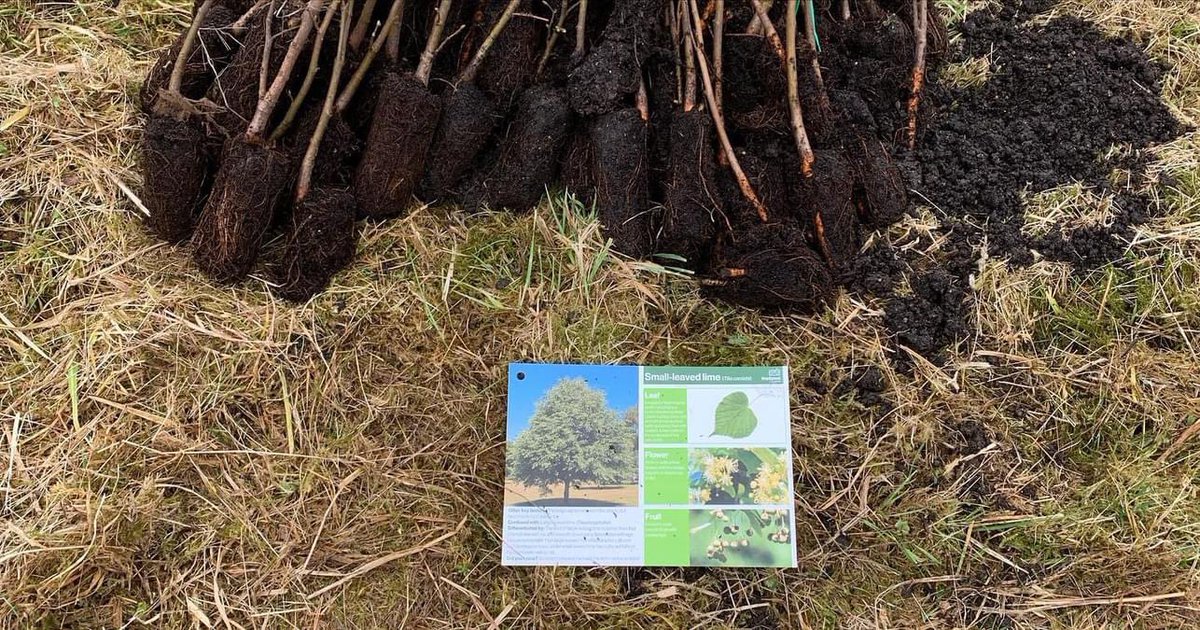 WHS_Parentpartners tweet media