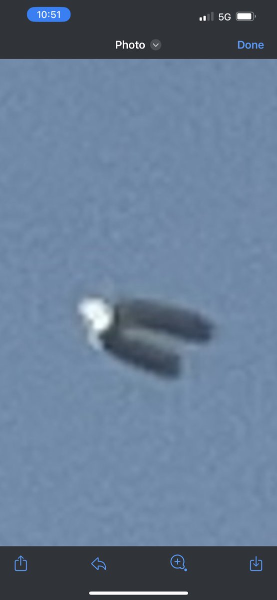 irishredbloke's tweet photo. OK who’s gonna tell me what this is spotted in Bay St. Louis about 30 min ago? #unexplained #UFO #ChineseSpyBalloon ?? https://t.co/6kuzFvUYYX