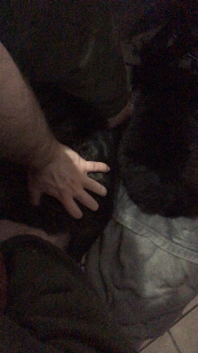 WinterrKnight's tweet photo. Once more, with Extra Serotonin #WintersBeasts #CatsOfTwitter Elijah & Rocky cuddling around my feet & grabbing da cute kitty butt π€£ https://t.co/w44Yex3U40