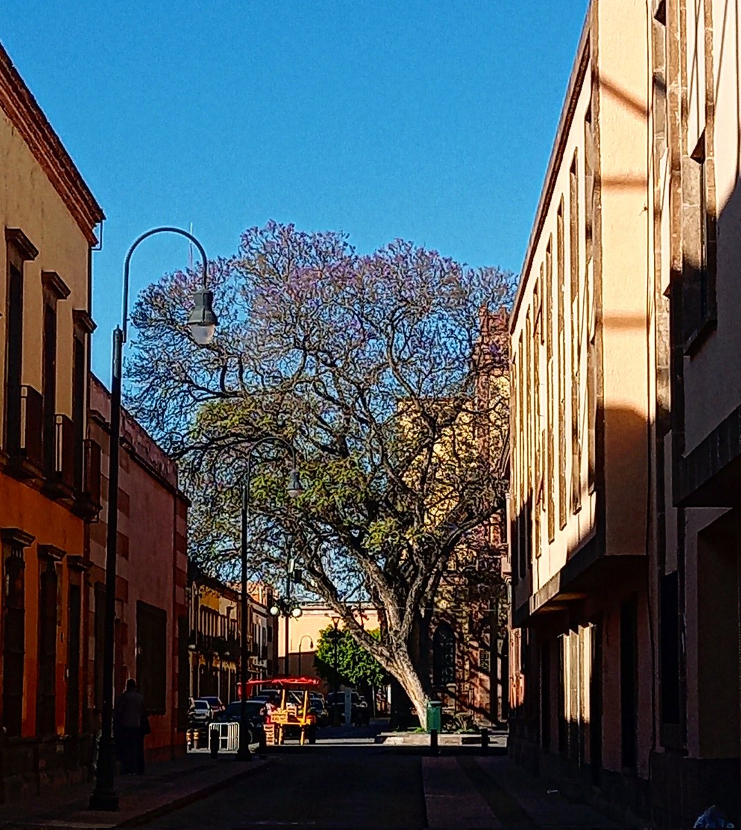 monicmg's tweet photo. #SanLuisPotosi
#Mexico
#CentroHistorico
#FinLargo https://t.co/TXkXnjDcyc
