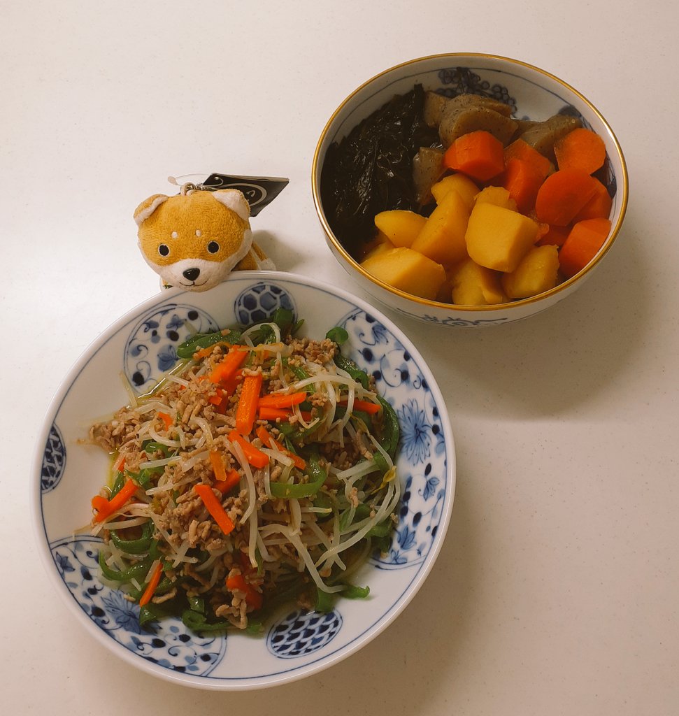 夕飯🍴挽肉、もやし🍀ピーマン🥕にんじん炒め💕じゃがいも🥔こんにゃく🥕にんじん、わかめの煮物🎵にんじん🥕ツナ🐟️コーン🌽サラダ🍅トマト🌼にんじん🥕ばっか👀‼️りんご🍎１日のんびりしてましたぁ⤴️😍✨