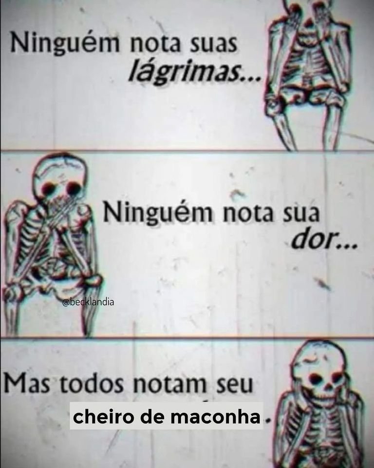 Chapo Do Chong (@chapodochong) on Twitter photo 