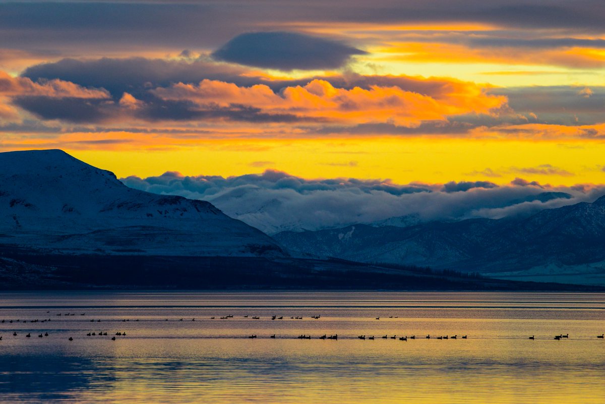 workingitoutnow's tweet photo. 2023 OFF AND RUNNING
Well now that Jan 2023 is in the books, I have to say that Chapter 1 of 12 is freaking awesome!

https://t.co/RA7RLcbJ9J

#photography #utphoto #nature #outdoors @nikon #wildlife #snow #winter #utah #mountains #hiking #utwx @UtahIsAwesome @VisitUtahValley https://t.co/76TyoJW060