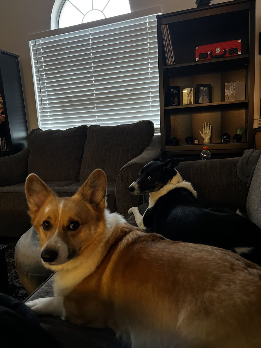 Asivrs (Rachel) tweet media