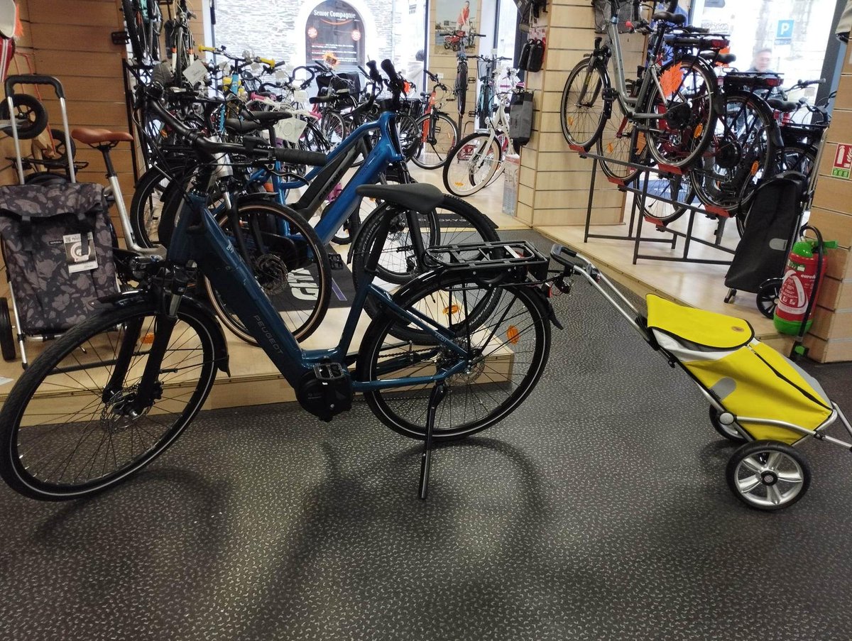 Espace2roues49's tweet photo. La solution pour faire vos courses avec votre vélo, le chariot Andersen, il permet le transport de vos achats en toute simplicité !
#courseenvelo #chariotandersen https://t.co/XG7q4B5JaU