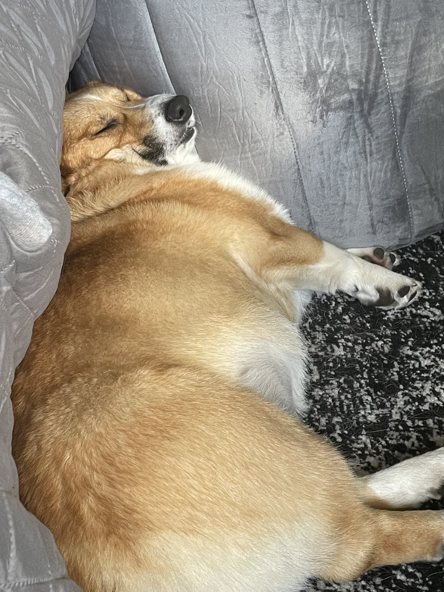 Asivrs (Rachel) tweet media