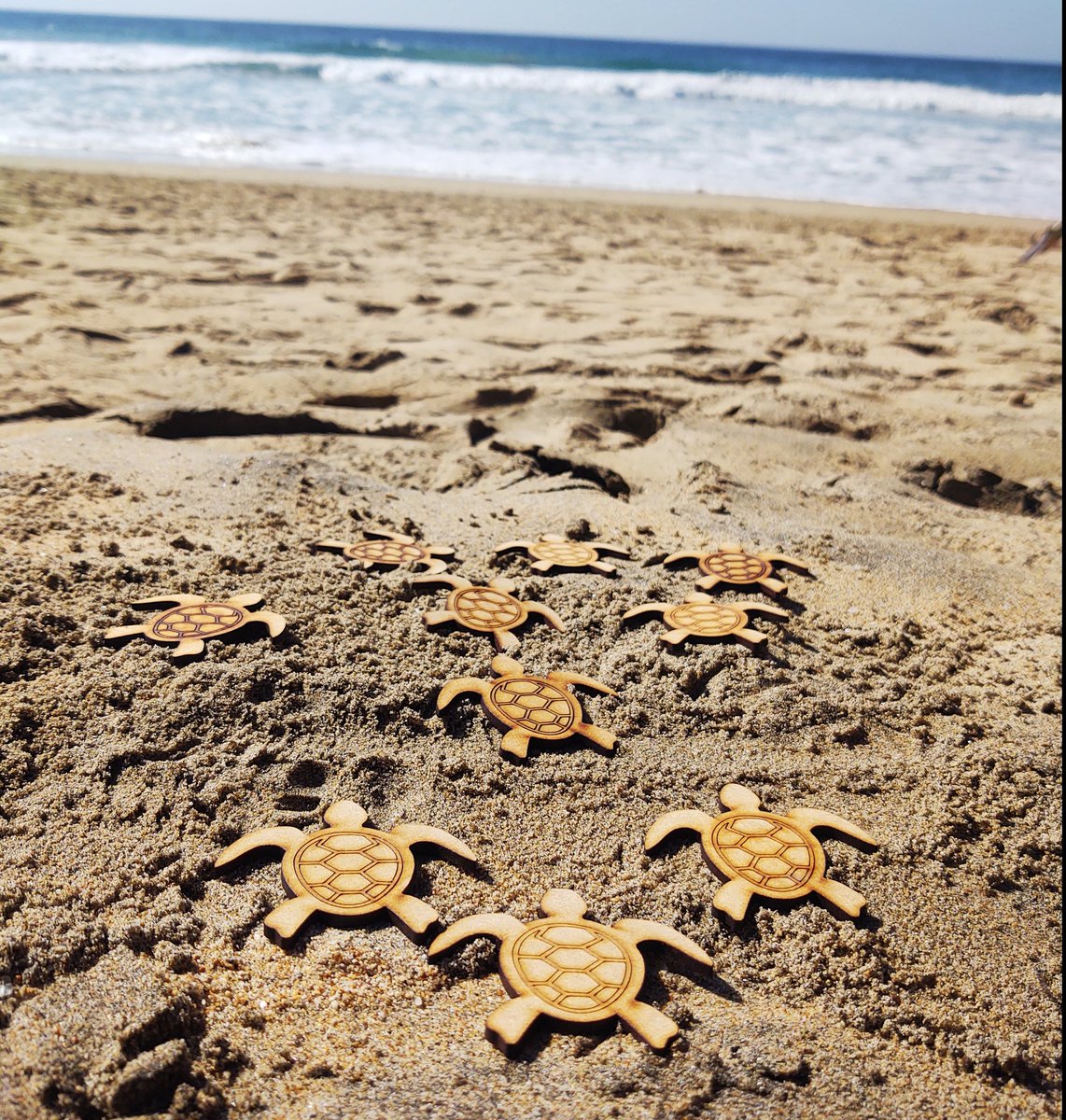 malinalliTextil's tweet photo. Hoy estuvimos en la liberación de tortugas con nuestros amigos de @laventanilla

Los envidiosos dirán que son las últimas bobinas de hilo que quedan.
#Tortugas #campamento #liberaciondetortugas #Zipolite #Ventanilla #Mazunte. 

Estamos en @FZipolite

@visitazipolite @_Hector_Mtz https://t.co/0fEZJ2eC9j