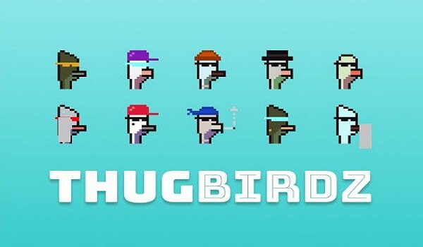 LauchGarnel3's tweet photo. @danowenby GM #Thugbird fam https://t.co/bI15x268LZ