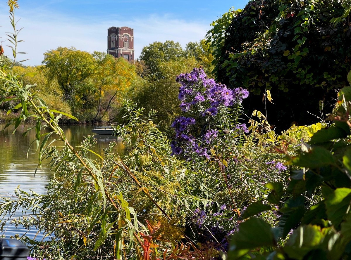 Great CST editorial on criminally neglected historic Central Manufacturing District. Any set of redevelopment proposals should have to include someone taking responsibility for and restoring the CMD's iconic clock tower, even if it's the city itself.
chicago.suntimes.com/columnists/202…