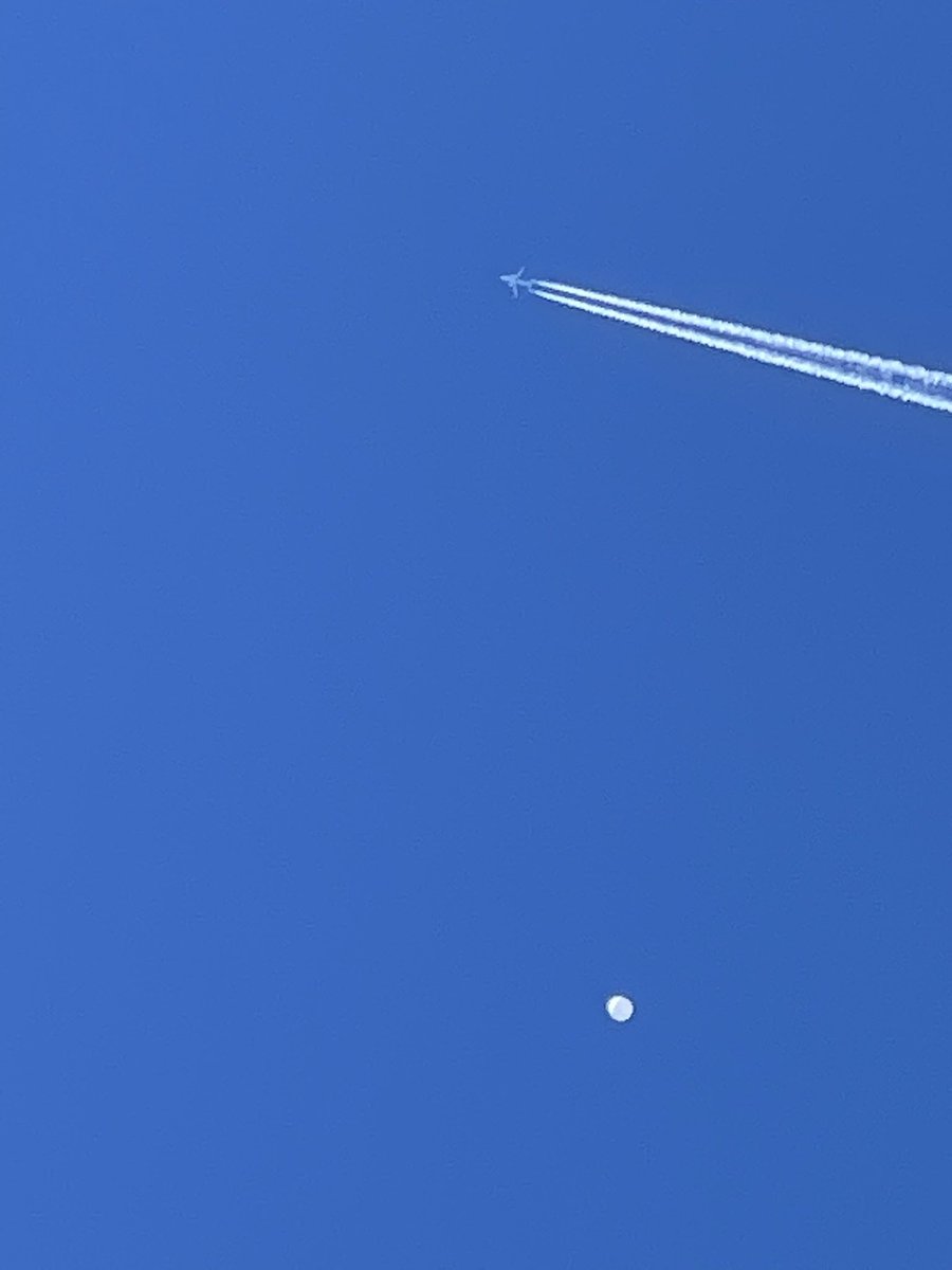 RealCoolBull's tweet image. Floating over South Carolina, could easily be dropped. Very interesting to see from the front lawn.. 

 #ChinaSpyBalloon #spyballoon #SpyBalloonTracker #ChineseSpyBalloon #ChinaJoe