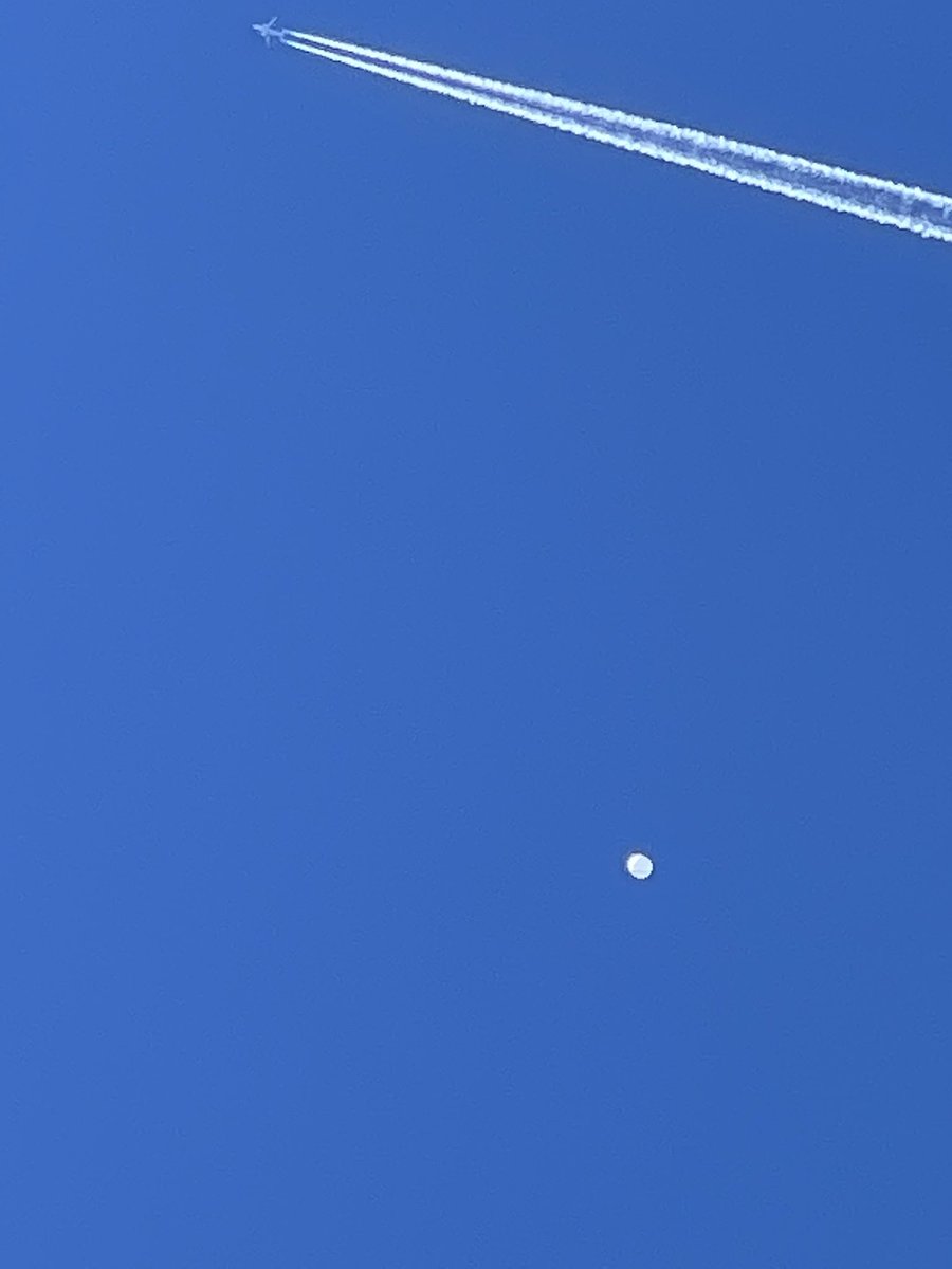 RealCoolBull's tweet image. Floating over South Carolina, could easily be dropped. Very interesting to see from the front lawn.. 

 #ChinaSpyBalloon #spyballoon #SpyBalloonTracker #ChineseSpyBalloon #ChinaJoe