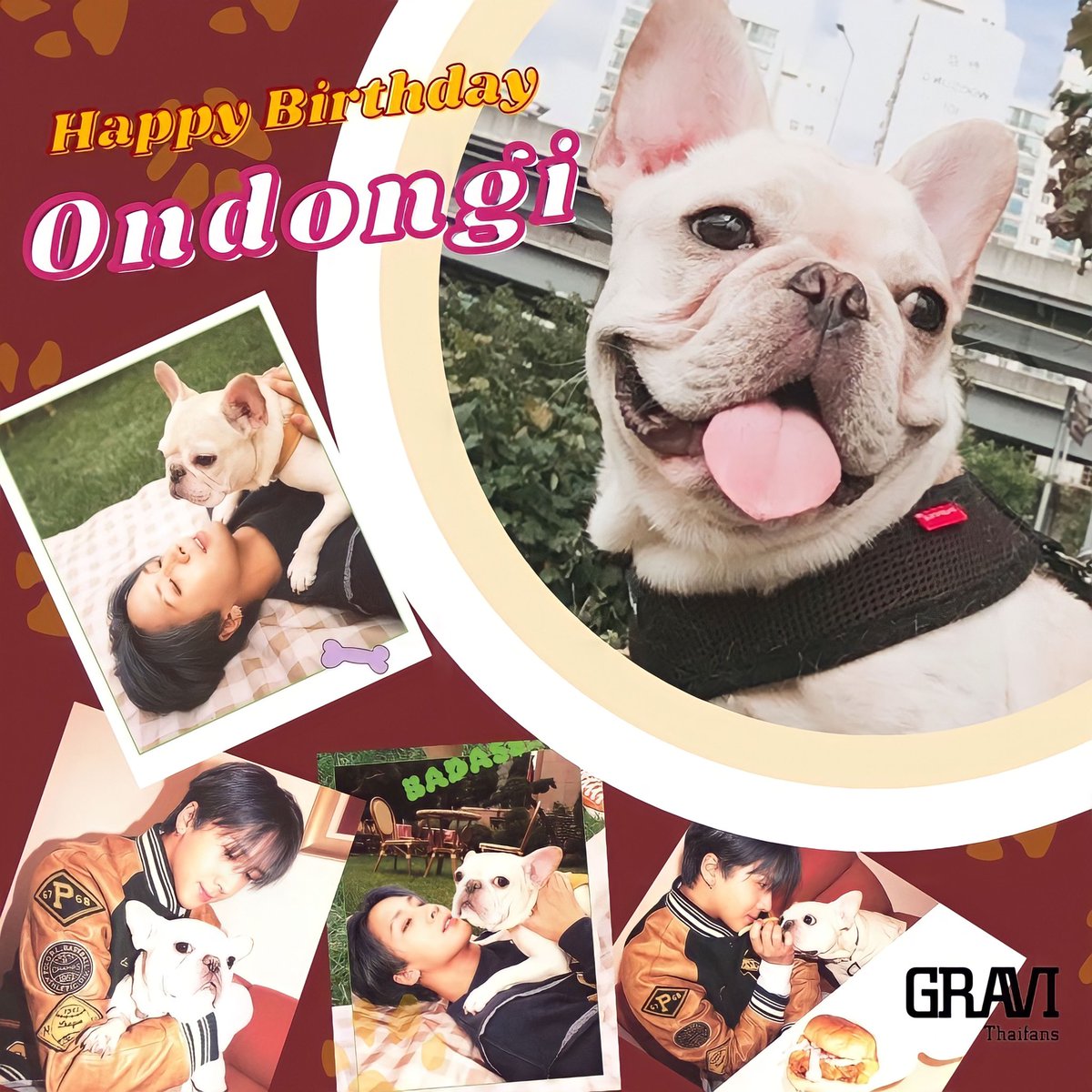 wonderlawan's tweet photo. 엉덩이!!! 생일 축하해 🎂🎉
아빠에게 착한 아들이 되시내요, 옆에 도움 그리고 아빠도 이 시기를 잘 이겨내도록 격려해 주세요 ❤️🫶🏻🐶
#RAVI #라비
#KimWonSik #김원식
#ravithecrackkidz
#badassthecrackkidz
#HBD_Ondongi
#GROOVL1N
#GRAVITHAIFANS https://t.co/1DSSHB7Xla